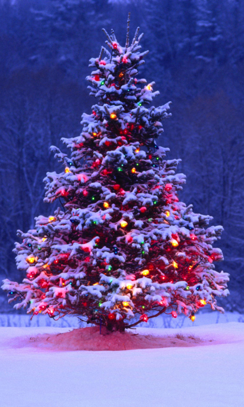 Illumninated Christmas Tree screenshot #1 480x800