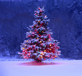 Illumninated Christmas Tree - Obrázkek zdarma pro 128x128