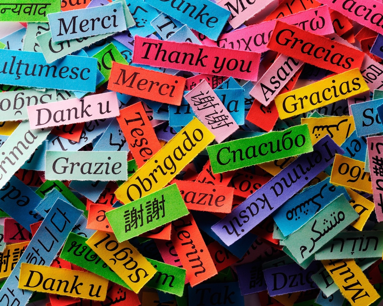 Sfondi Pieces of Paper with Phrase Thank You 1280x1024