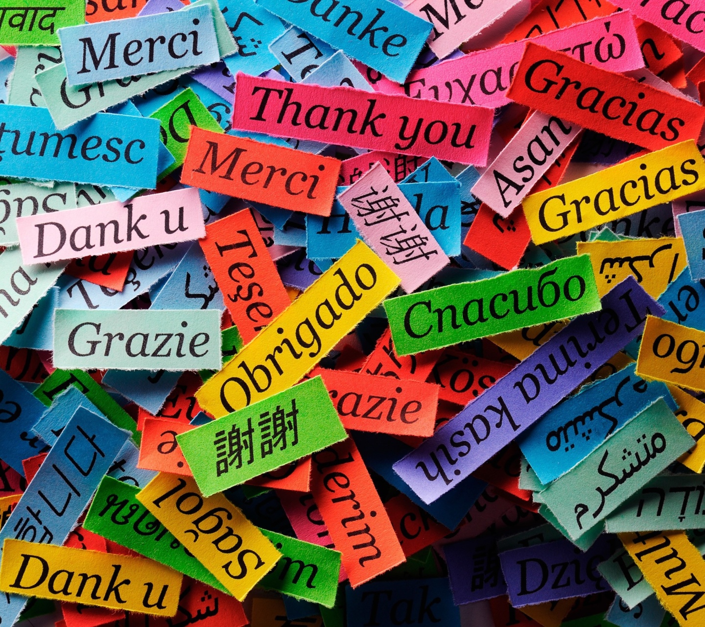 Pieces of Paper with Phrase Thank You wallpaper 1440x1280