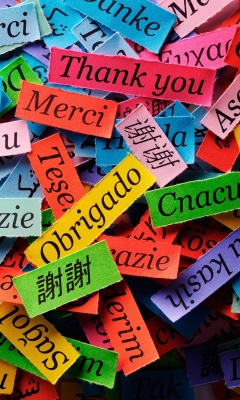 Pieces of Paper with Phrase Thank You wallpaper 240x400