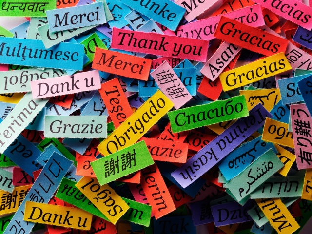 Das Pieces of Paper with Phrase Thank You Wallpaper 640x480