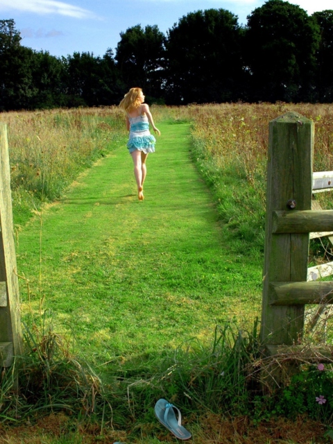 Run Away To Fields screenshot #1 480x640