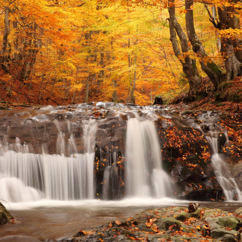 Das Autumn Waterfall Wallpaper 1024x1024