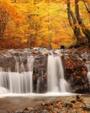 Sfondi Autumn Waterfall 128x160