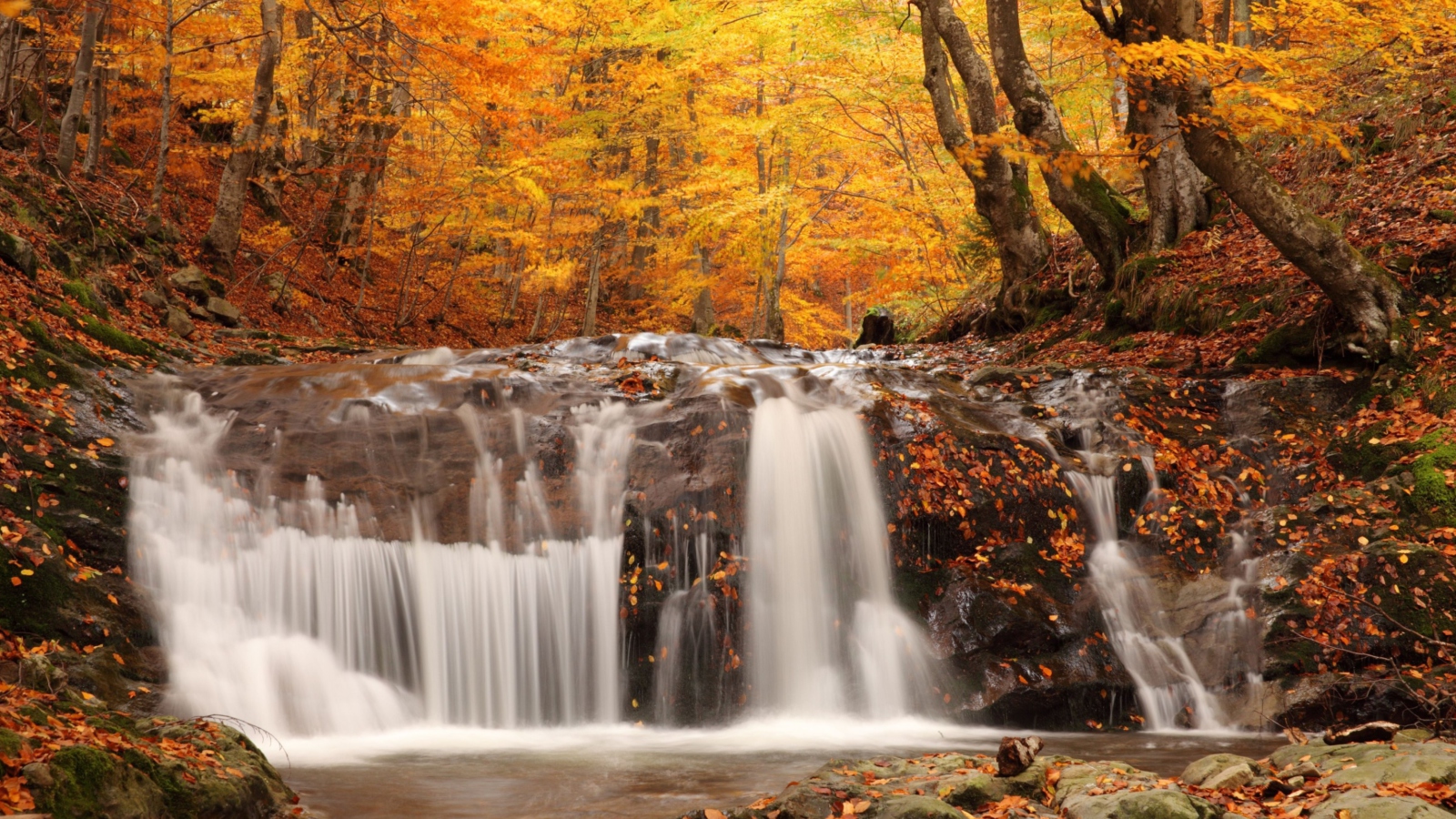 Обои Autumn Waterfall 1600x900