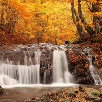Screenshot №1 pro téma Autumn Waterfall 208x208