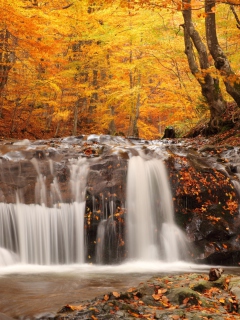 Das Autumn Waterfall Wallpaper 240x320