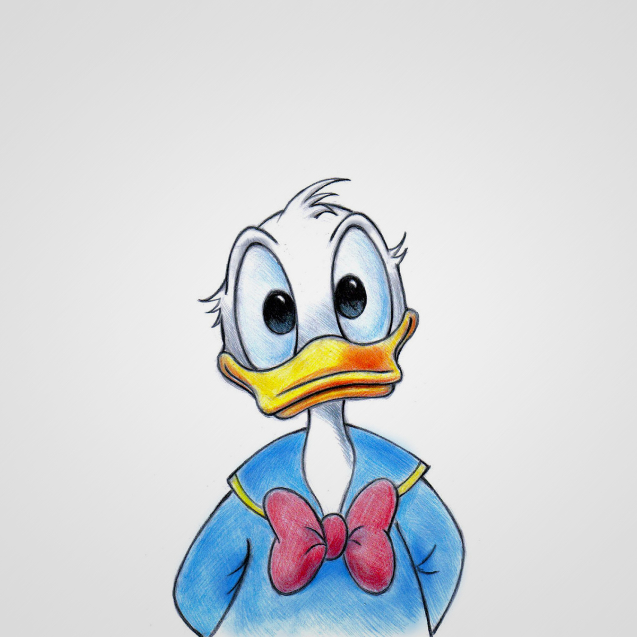 Cute Donald Duck wallpaper 2048x2048