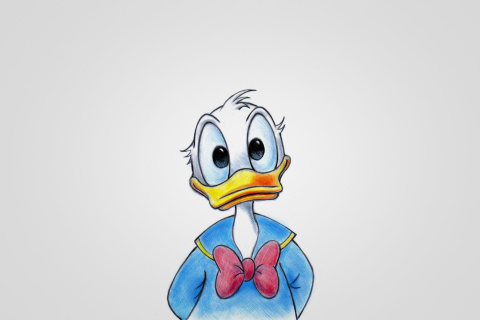 Screenshot №1 pro téma Cute Donald Duck 480x320