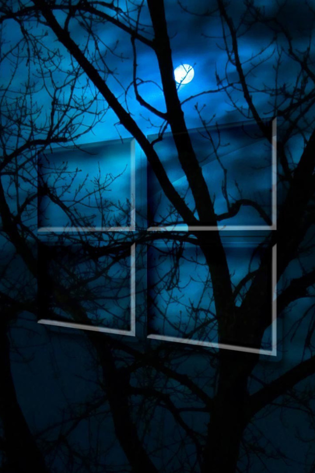 Windows 10 HD Moon Night wallpaper 640x960