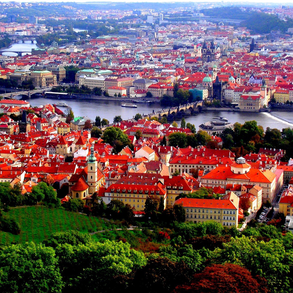 Das Prague Red Roofs Wallpaper 1024x1024