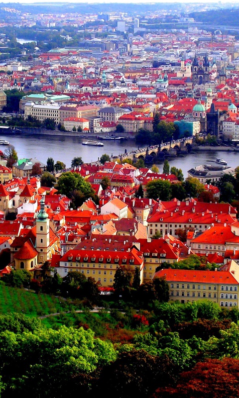 Fondo de pantalla Prague Red Roofs 480x800