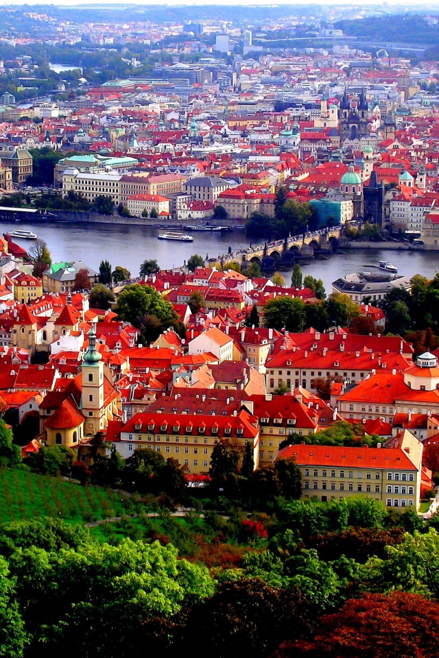 Das Prague Red Roofs Wallpaper 640x960