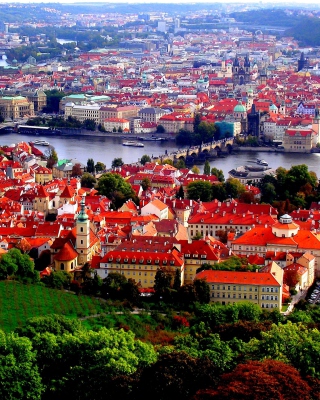 Prague Red Roofs - Obrázkek zdarma pro iPhone 5