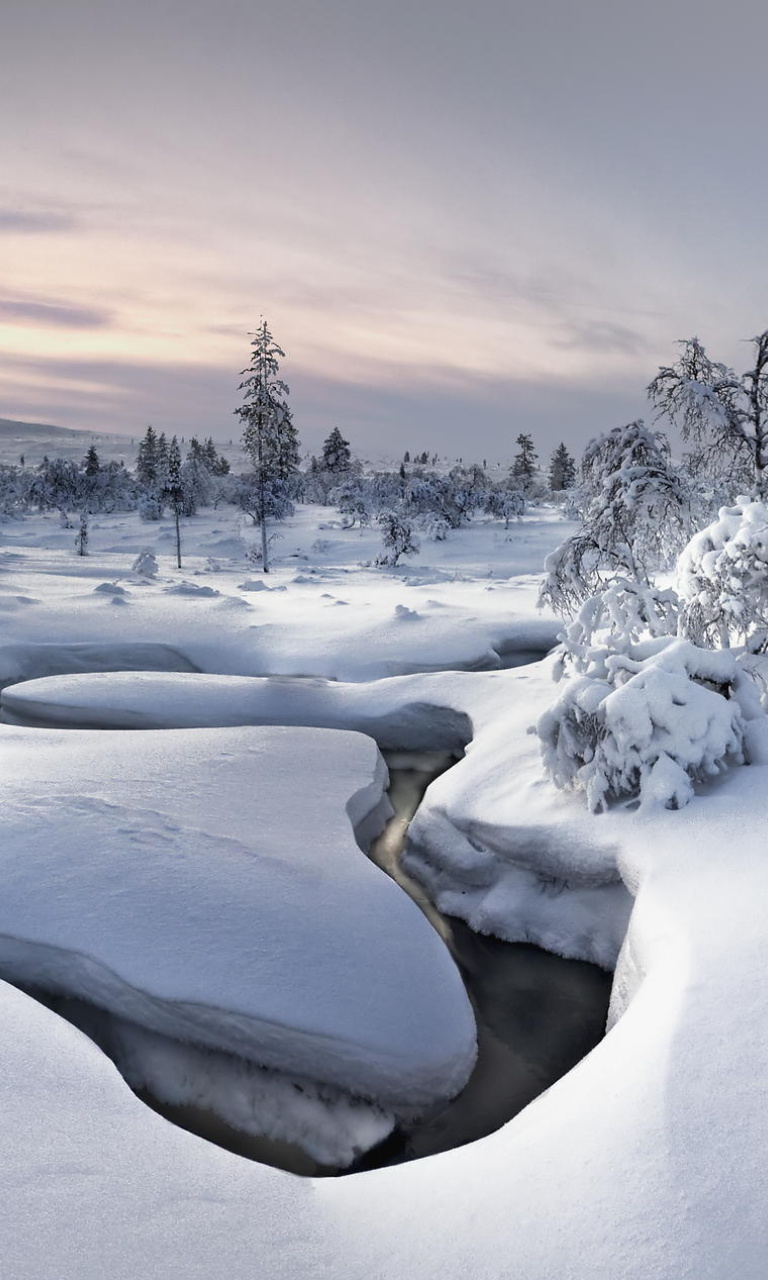 Screenshot №1 pro téma Winter River 768x1280