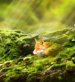 Sleeping Fox Background for iPad 2