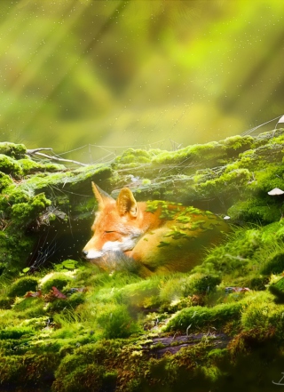 Sleeping Fox - Obrázkek zdarma pro Nokia X7