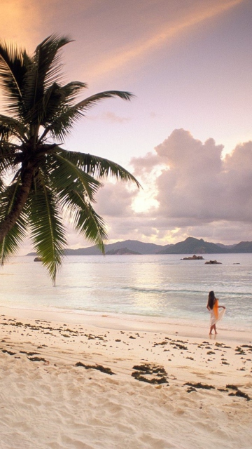 Screenshot №1 pro téma Seychelles Beach 360x640