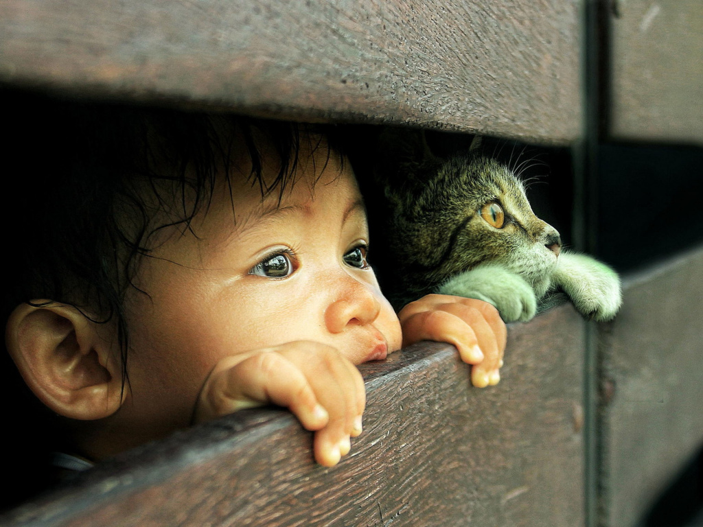 Sfondi Kid and Cat 1024x768