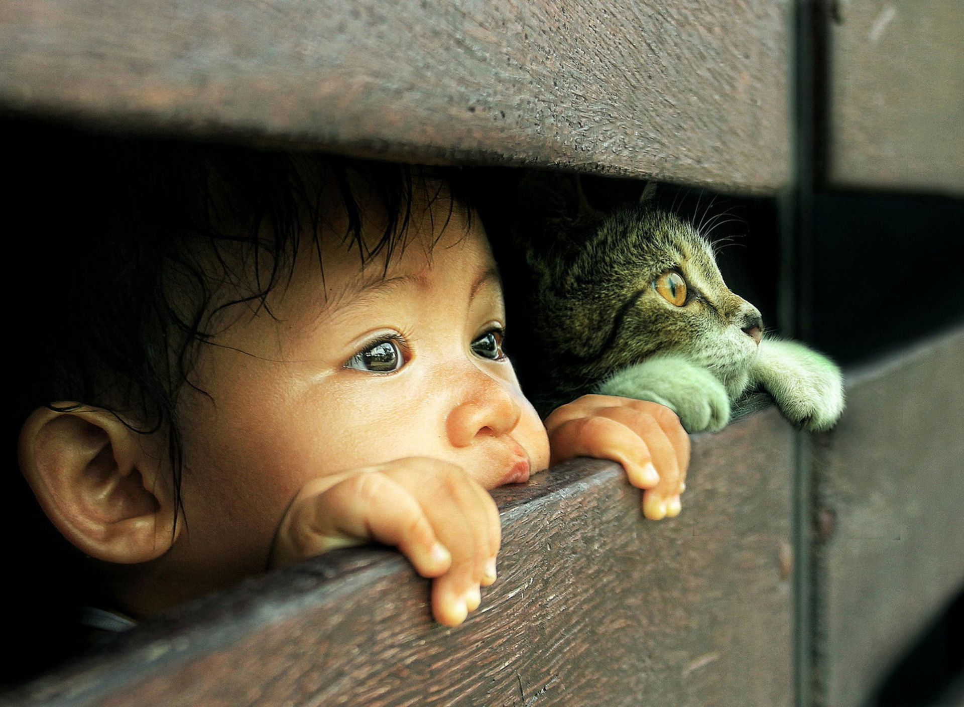 Kid and Cat wallpaper 1920x1408