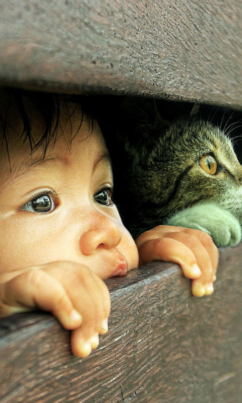 Das Kid and Cat Wallpaper 480x800