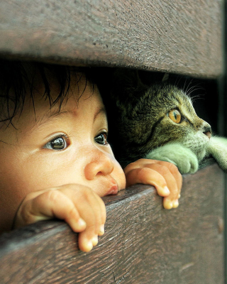 Картинка Kid and Cat на телефон 750x1334