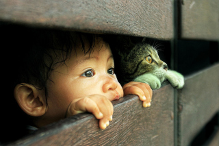 Kid and Cat Wallpaper for Android, iPhone and iPad