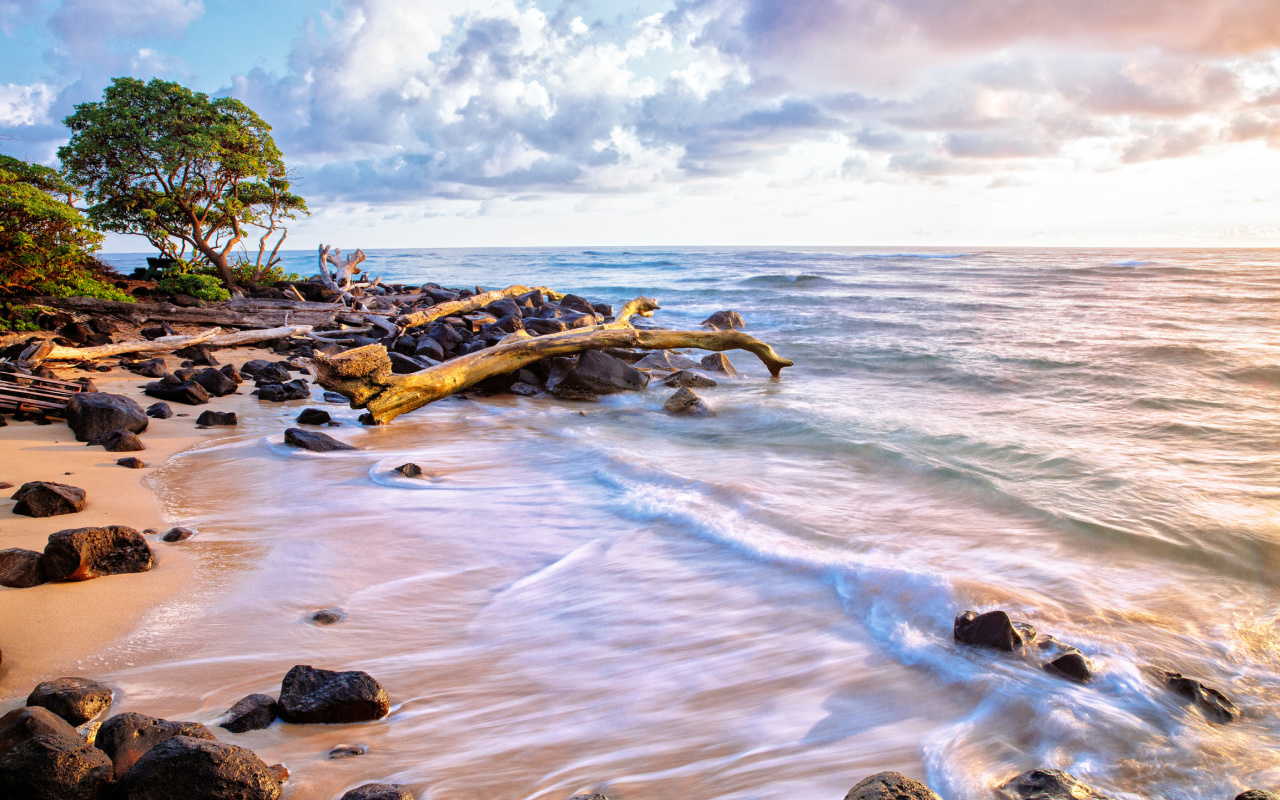 Fondo de pantalla Sea shore and sky 1280x800