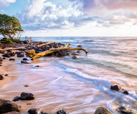 Sea shore and sky screenshot #1 480x400