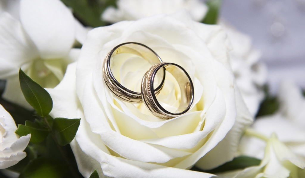 Screenshot №1 pro téma Wedding Rings And White Rose 1024x600