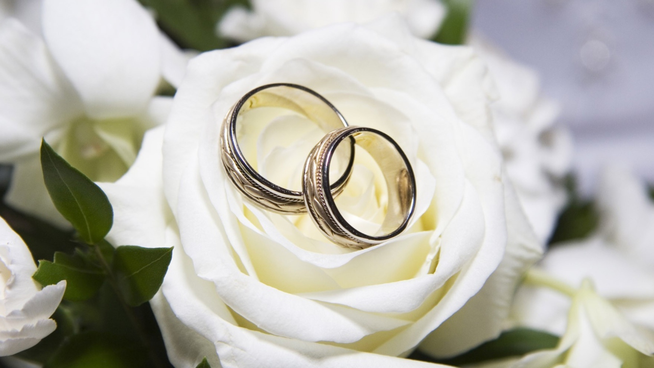 Screenshot №1 pro téma Wedding Rings And White Rose 1280x720