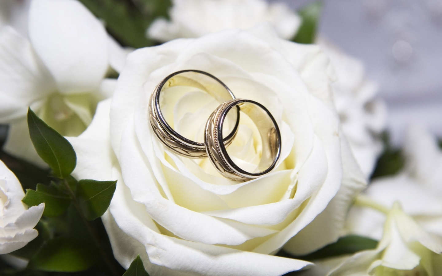 Screenshot №1 pro téma Wedding Rings And White Rose 1440x900