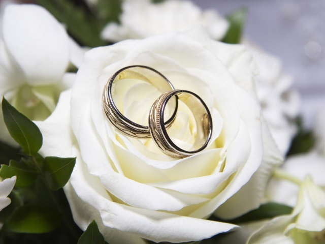 Обои Wedding Rings And White Rose 640x480