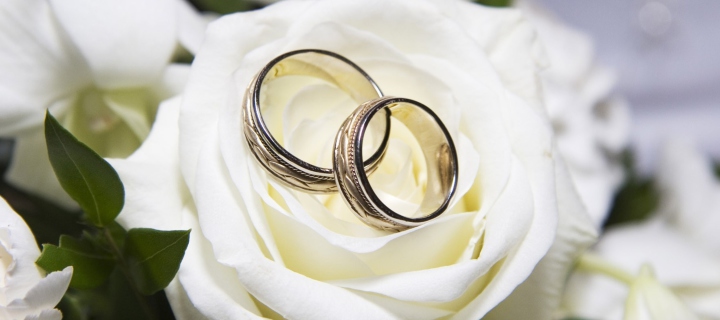 Das Wedding Rings And White Rose Wallpaper 720x320
