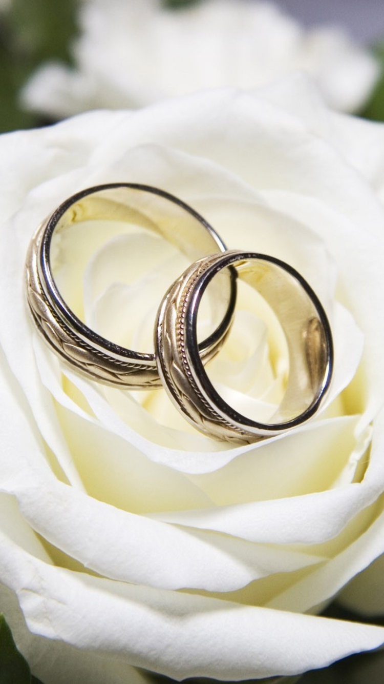 Обои Wedding Rings And White Rose 750x1334