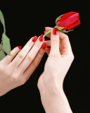 Das Flowers Hands Roses Wallpaper 128x160