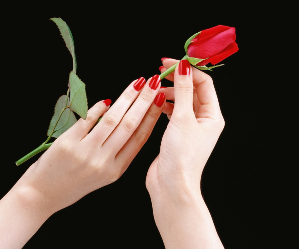 Das Flowers Hands Roses Wallpaper 960x800