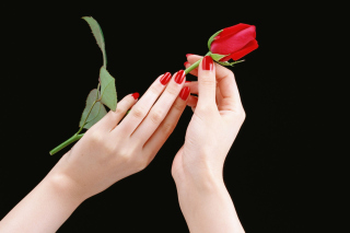 Flowers Hands Roses - Obrázkek zdarma pro Samsung Galaxy Note 2 N7100