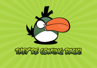 Angrybird Green Wallpaper for Android, iPhone and iPad