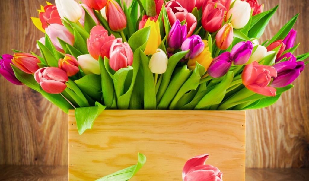 Bunch of tulips wallpaper 1024x600