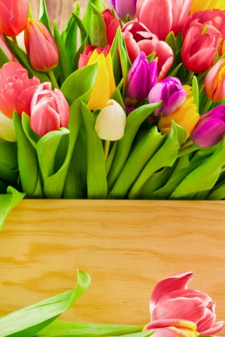 Обои Bunch of tulips 320x480