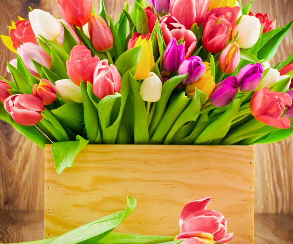 Bunch of tulips wallpaper 960x800