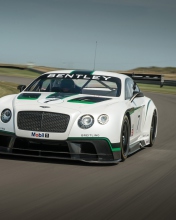 Обои Bentley Continental GT3 R 176x220