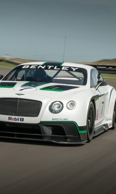 Screenshot №1 pro téma Bentley Continental GT3 R 240x400