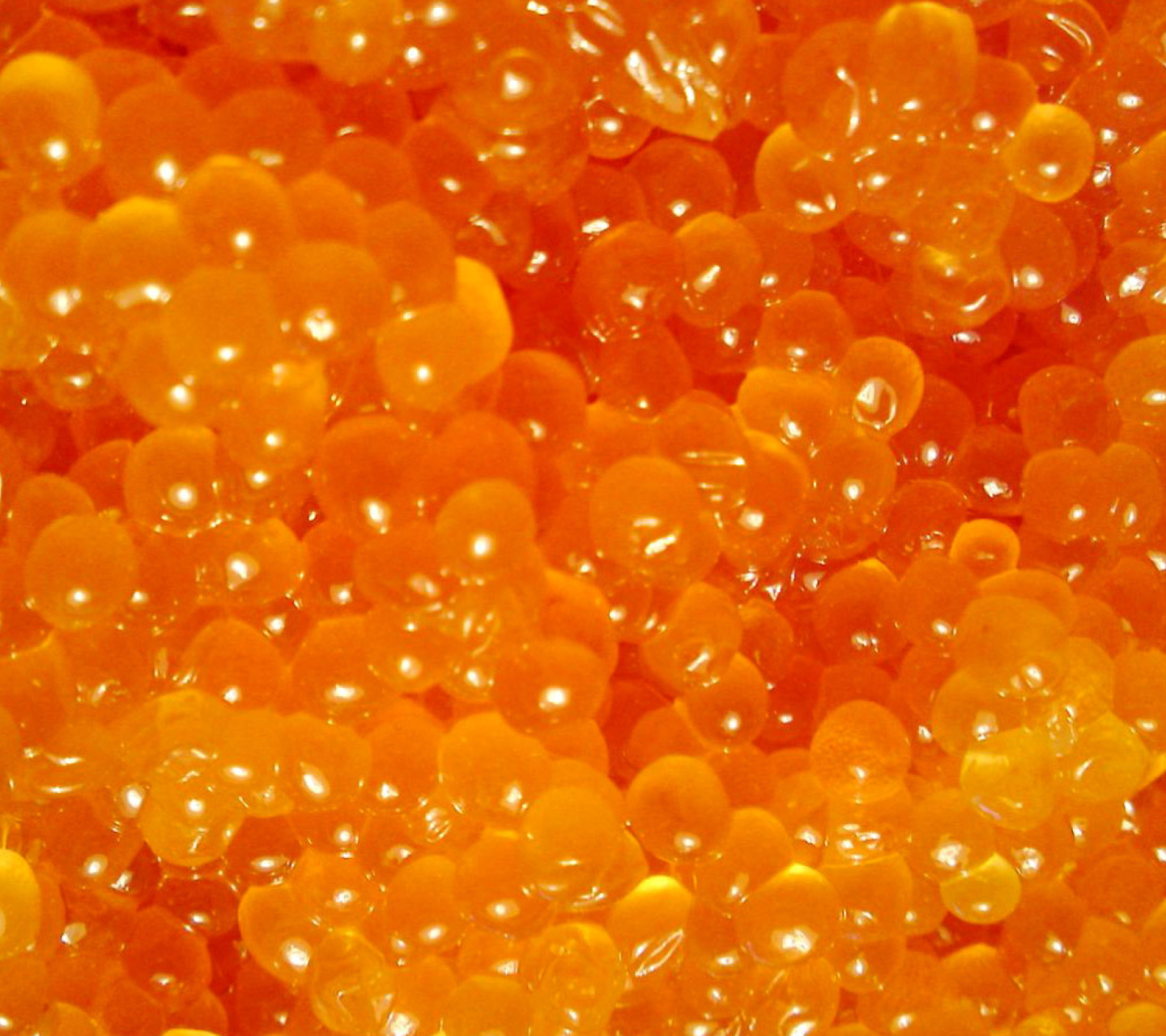 Caviar wallpaper 1440x1280