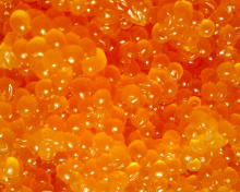 Sfondi Caviar 220x176