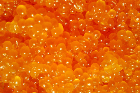 Caviar wallpaper 480x320