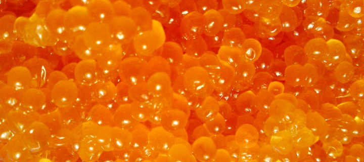 Fondo de pantalla Caviar 720x320