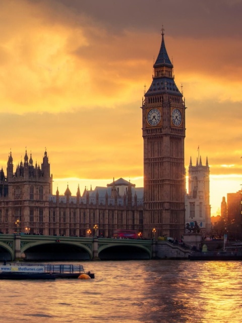 Palace of Westminster screenshot #1 480x640